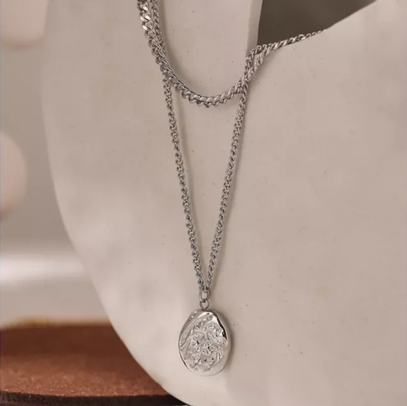 Trendy Layered Stainless Steel Necklace - Picture 3 of 5
